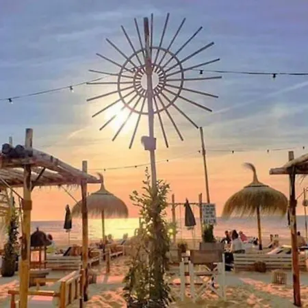 Σπίτι διακοπών Bed & - Free Parking And Close To Beach! Noordwijk