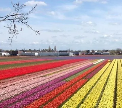 Bed & - Free Parking And Close To Beach! *