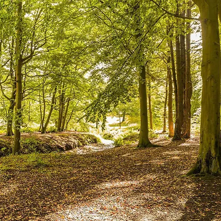 Bed & - Free Parking And Close To Beach! *