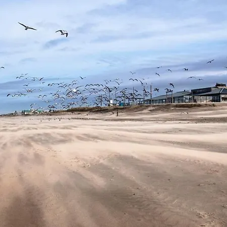 Bed & - Free Parking And Close To Beach! * Noordwijk