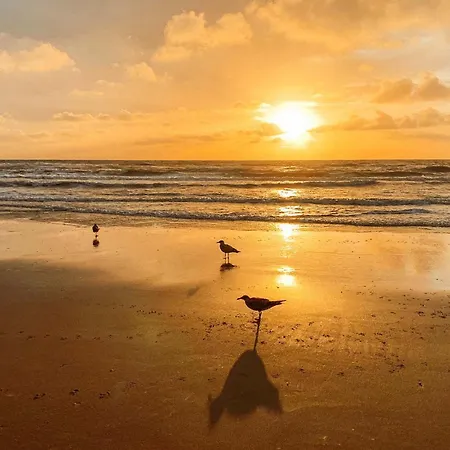 Bed & - Free Parking And Close To Beach! Noordwijk