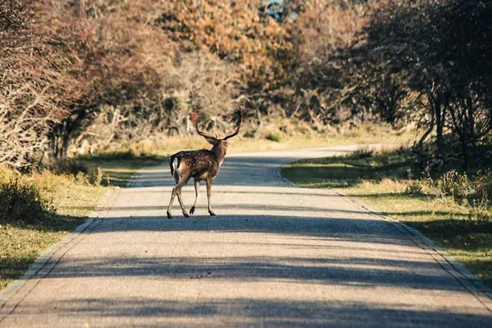 Bed & - Free Parking And Close To Beach! * ノールトウェイク