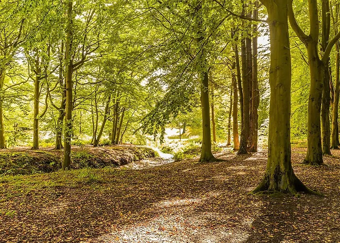 Bed & - Free Parking And Close To Beach! *