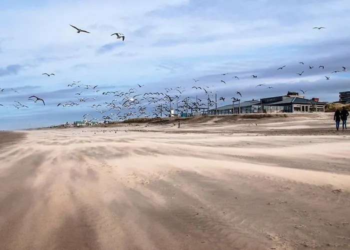 Bed & - Free Parking And Close To Beach! * Noordwijk