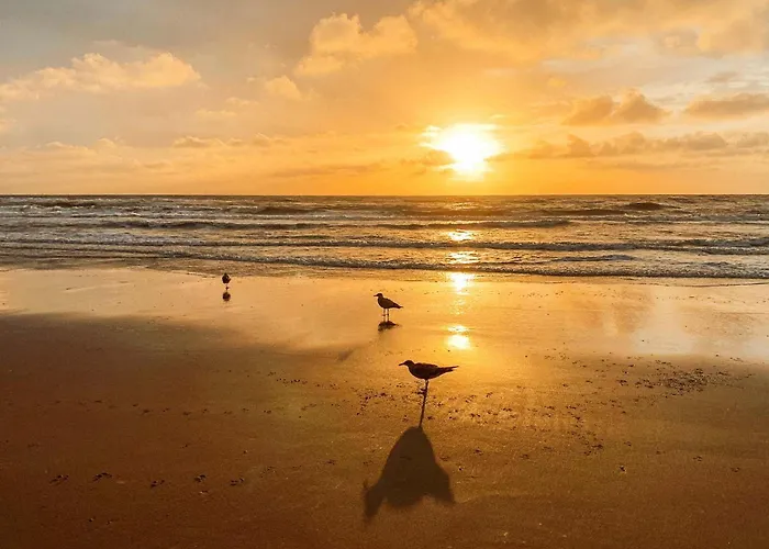 Bed & - Free Parking And Close To Beach! Noordwijk