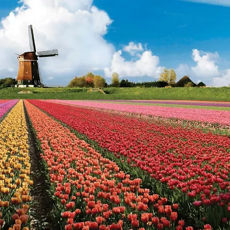 Bed & - Free Parking And Close To Beach! * Noordwijk